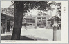 明治神宮/Meiji Jingū Shrine image