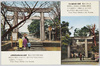 表参道大鳥居及び池の端参道大鳥居/Omotesandō Ōtorii and Ikenohatasandō Ōtorii image