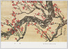 松林桂月画　紅梅/Red Plum Blossoms, Painted by Matsubayashi Keigetsu image