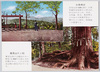 たこ杉・大見晴台/Takosugi, Large Observation Deck image