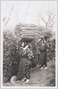 島娘の薪取り(大島風俗)/Island Girl Gathering Firewood (Ōshima Customs) image
