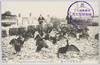 長良川の鵜/Cormorants on Nagara River image