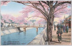 東京名所 / Famous Landmarks of Tokyo image