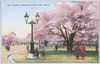 上野公園博物館前/In Front of the Museum in Ueno Park image