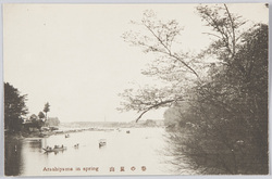 春の嵐山 / Arashiyama in Spring image