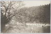 春の嵐山2/Arashiyama in Spring image