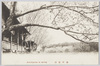 春の嵐山６/Arashiyama in Spring image