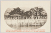 近江　唐崎の老松/Old Pine Tree at Karasaki, Ōmi  image