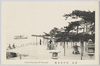 近江　唐崎之老松/Old Pine Tree at Karasaki, Ōmi image