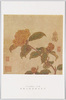 宋刻糸繍線合璧冊　刻糸宋徽宗御筆花卉/Album of the Song Dynasty Silk Tapestries and Embroideries: Flowering Plant, Silk Tapestry, Original Painting by the Emperor Huizong of Song  image