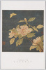 宋刻糸繍線合璧冊　朱克柔刻糸山茶/Album of the Song Dynasty Silk Tapestries and Embroideries: Camellia, Silk Tapestry Woven by Zhu Kerou image