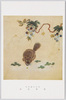明顧繍花鳥冊　松鼠葡萄/Book of the Ming Dynasty Gu-Family Embroideries of Flowers and Birds: Squirrel and Grapes image