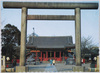 浅草神社/Asakusa Shrine image