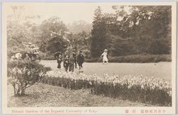 小石川植物園　庭園 / Koishikawa Botanical Garden: Garden image