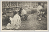 宮城前に赤子等聖上御平癒の熱烈なる御祈祷を捧ぐ/Subjects Ardently Pray for the Emperor's Recovery in Front of the Imperial Palace image