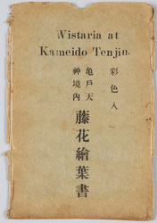 亀戸天神境内 藤花絵葉書 / Wisteria Flowers in the Precincts of the Kameido Tenjin Shrine image