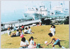 東京港晴海埠頭/Tokyo Port Harumi Wharf image
