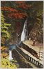 高尾山琶琵滝/Mt. Takao: Biwa Waterfall image