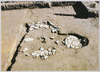敷石住居址(縄文時代中期)/Site of Dwelling with Stone-Paved Floor (Middle Jōmon Period) image