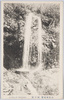 高尾山名勝　蛇の瀧/Scenic Beauty of Mt. Takao: Ja no Taki Waterfall  image