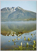 尾瀬沼の春/Lake Ozenuma in Spring image