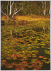尾瀬沼の秋/Lake Ozenuma in Autumn image