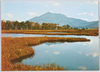 尾瀬ヶ原の秋/Ozegahara Marsh in Autumn image