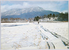 尾瀬ヶ原の冬/Ozegahara Marsh in Winter image