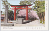 鶴岡八幡宮参道段葛/Tsurugaoka Hachimangū Shrine: Dankazura Approach image