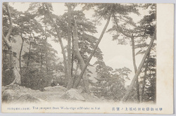 甲州御嶽　絵葉書 / Picture Postcards: Mitake, Koshū image