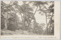 甲州御嶽 絵葉書 / Picture Postcards: Mitake, Koshū image