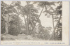 甲州御嶽和田峠頂上ノ望岳/View from the Top of the Wada Pass, Mitake, Koshū image