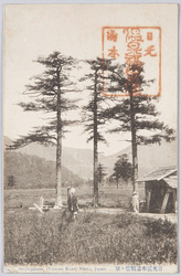 日光湯本道戦場ヶ原 / Senjōgahara Marshland, Yumotodō Road, Nikkō image