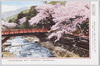 藤木川の桜花(相州湯河原温泉)/Cherry Blossoms by the Fujiki River (Yugawara Hot Springs, Sōshū) image