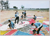 白根大凧合戦　精魂こめた大凧製作風景/Shirone Giant Kite Battle: Scene of Making a Giant Kite with the Utmost Care image