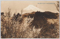 伊豆修善寺梅林より見たる富士山 / Mt. Fuji Viewed from the Plum Grove, Shuzenji, Izu image