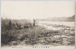 印旛沼の雁の銃獵 / Wild Geese Shooting at Lake Imbanuma image