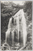 (那須温泉)翠緑の中に白簾乱れ散る紅葉の瀧/(Nasu Hot Springs) Koyo no Taki Waterfall; White Cascades Splashing the Autumn Leaves image