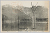 (日本アルプス)大正池より見たる穂高岳/(Japan Alps) View of Mt. Hotaka from the Taishō Pond image