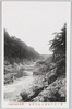 (鬼怒川温泉名勝)鬼怒川温泉湯滝付近ノ景/(Scenic Beauty of the Kinugawa Hot Springs) View near the Yudaki Falls, Kinugawa Hot Springs image