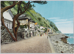 国立公園　伊豆　温泉　絵葉書 / Picture Postcards: National Park, Izu Hot Springs image
