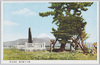 伊豆名所　韮山蛭ケ小島/Famous Views of Izu: Hirugakojima Historic Site, Nirayama image