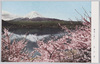 桜花と富士(河口湖)/Cherry Blossoms and Mt. Fuji (Lake Kawaguchi) image