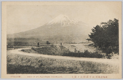 東海道名所田子浦付近ノ富士 / Famous Views of the Tōkaidō Road: View of Mt. Fuji from the Vicinity of Tagonoura Bay image