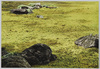 3.一部に岩盤を活用した力強い枯山水石組の表現/3. Powerful Expression of the Rock Arrangement in the Dry Landscape, Created by Using Bedrocks in Part image
