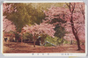 (八幡風景)愛宕公園/(Views of Hachiman) Atago Park image
