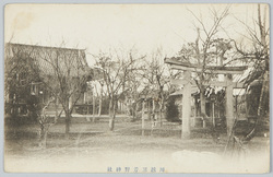 川越三芳野神社 / Miyoshino Shrine, Kawagoe image