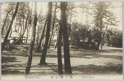 (市川名所)鴻ノ台公園 / (Famous Views of Ichikawa) Kōnodai Park image