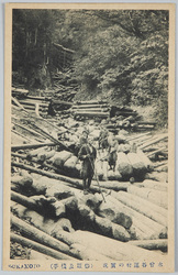 木曽谷運材の実況 絵葉書 / Picture Postcards: Actual Scene of the Timber Transport at the Kiso Valley image