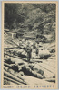 木曽谷運材の実況(修羅及棧手)/Actual Scene of the Timber Transport at the Kiso Valley (Timber Chute and Slope for Transport) image
